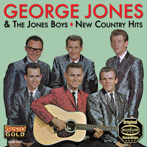 Love Bug - George Jones | Song Album Cover Artwork