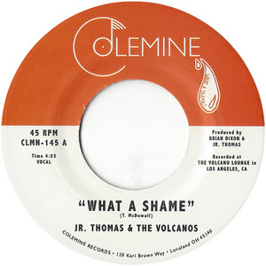What a Shame - Jr Thomas & The Volcanos | Song Album Cover Artwork