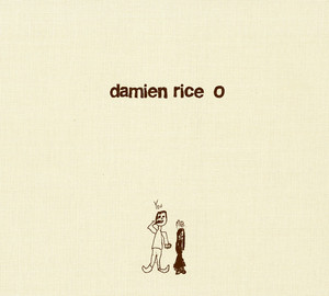 Delicate - Damien Rice | Song Album Cover Artwork