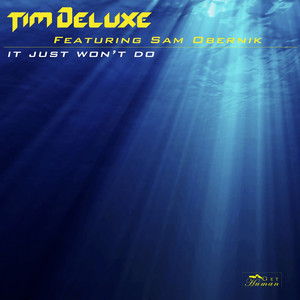 It Just Won't Do - Radio Edit Tim Deluxe | Album Cover