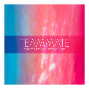 Don't Let Me Let You Go - TeamMate | Song Album Cover Artwork