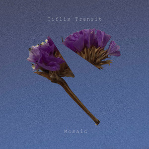 Mosaic - Tiflis Transit | Song Album Cover Artwork