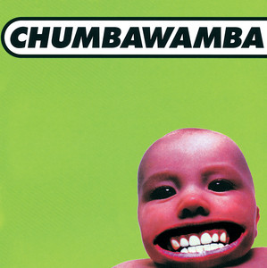 Amnesia - Chumbawamba | Song Album Cover Artwork
