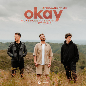 Okay - Afrojack Remix - Nicky Romero