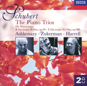 Piano Trio No.2 in E flat, Op.100 D.929: 1. Allegro - Franz Schubert | Song Album Cover Artwork
