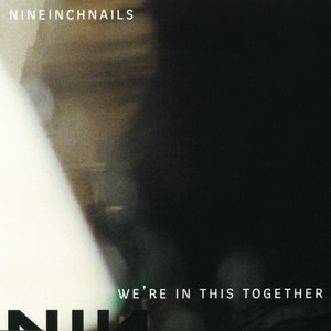 The Perfect Drug - Nine Inch Nails | Song Album Cover Artwork