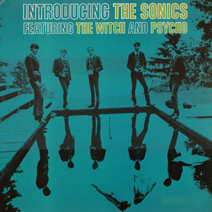 Maintaining My Cool - The Sonics | Song Album Cover Artwork