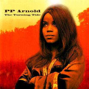 Medicated Goo - P.P. Arnold | Song Album Cover Artwork