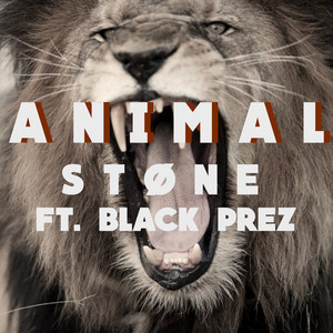 Animal - Stone | Song Album Cover Artwork