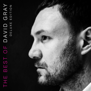 Fixative - David Gray | Song Album Cover Artwork