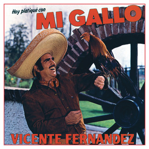 Hoy Platiqué Con Mi Gallo - Vicente Fernández | Song Album Cover Artwork