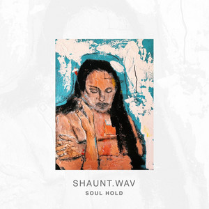 Soul Hold Shaunt.wav | Album Cover