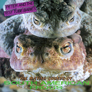 Pissed Punks (Go For It) - Peter & The Test Tube Babies | Song Album Cover Artwork