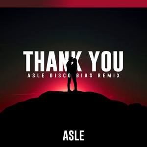 Thank You (Asle Disco Bias Remix Edit) - Asle | Song Album Cover Artwork