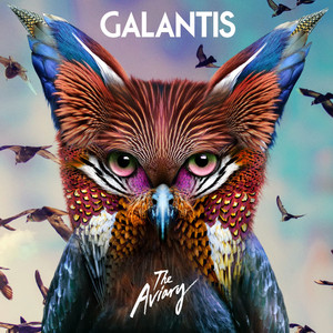 True Feeling (Galantis & shndō VIP Mix) Galantis | Album Cover