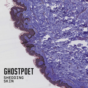 That Ring Down the Drain Kind of Feeling Ghostpoet | Album Cover