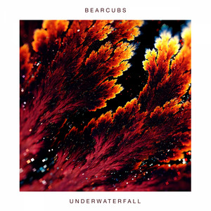 Underwaterfall Bearcubs | Album Cover