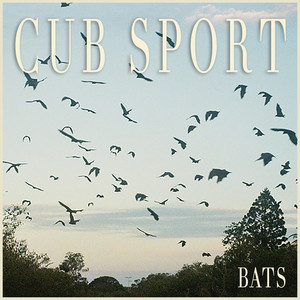 Temporarily - Cub Sport | Song Album Cover Artwork