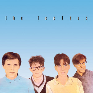 The Boy With the Perpetual Nervousness The Feelies | Album Cover