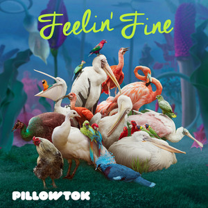 Feelin Fine - PillowTok | Song Album Cover Artwork