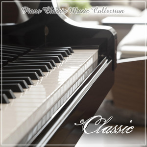 Mozart : Piano Sonata No.16 In C Major K.545 - II. Andante - Classic | Song Album Cover Artwork