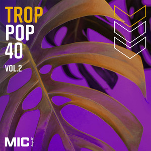 Poolside - Mic Drop | Song Album Cover Artwork