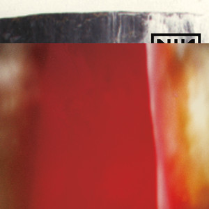 Somewhat Damaged - Nine Inch Nails | Song Album Cover Artwork