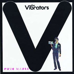 Bad Time The Vibrators | Album Cover
