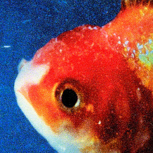 Party People - Vince Staples | Song Album Cover Artwork