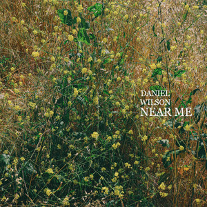 Near Me Daniel Wilson | Album Cover