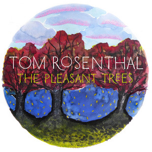 Go Solo - Tom Rosenthal | Song Album Cover Artwork