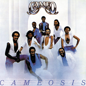 Why Have I Lost You Cameo | Album Cover
