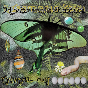 Tightly Strung Tylwyth Teg | Album Cover