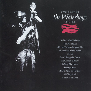 And a Bang on the Ear - The Waterboys