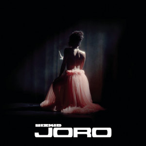 Joro - WizKid | Song Album Cover Artwork