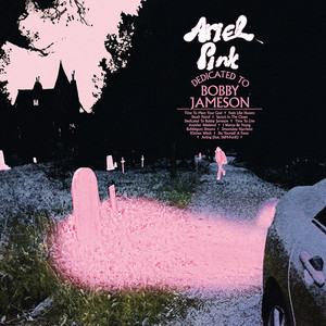 Time to Live - Ariel Pink | Song Album Cover Artwork
