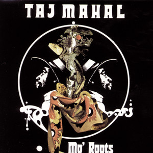 Johnny Too Bad - Taj Mahal | Song Album Cover Artwork