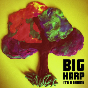 It's a Shame Big Harp | Album Cover