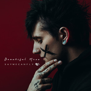 If I Had an Airplane SayWeCanFly | Album Cover