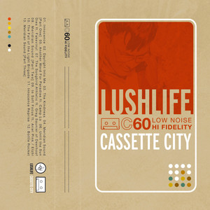 Until the Sun Dies (feat. Fakevinyl) Lushlife | Album Cover