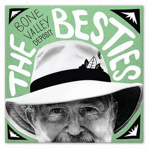 Man vs. Wild - The Besties | Song Album Cover Artwork