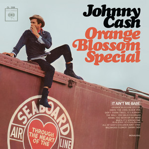 Danny Boy Johnny Cash | Album Cover