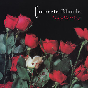 Bloodletting (The Vampire Song) Concrete Blonde | Album Cover