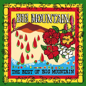 Baby, I Love Your Way - Big Mountain | Song Album Cover Artwork