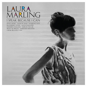 What He Wrote - Laura Marling | Song Album Cover Artwork