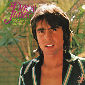 Girl - Davy Jones | Song Album Cover Artwork
