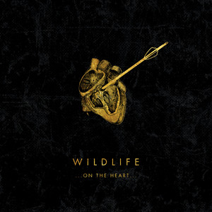 Two Hearts Race - Wildlife | Song Album Cover Artwork