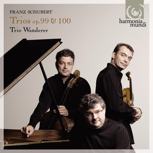 Piano Trio No. 2 in E-Flat Major, Op. 100, D. 929: II. Andante con moto - Franz Schubert | Song Album Cover Artwork