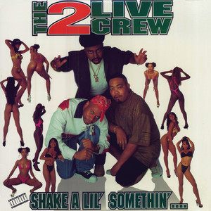 Shake A Lil' Somethin' (Original Street Mix Nasty) - 2 LIVE CREW | Song Album Cover Artwork