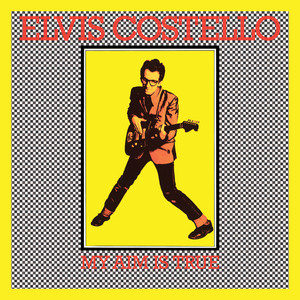 Watching The Detectives - Elvis Costello | Song Album Cover Artwork